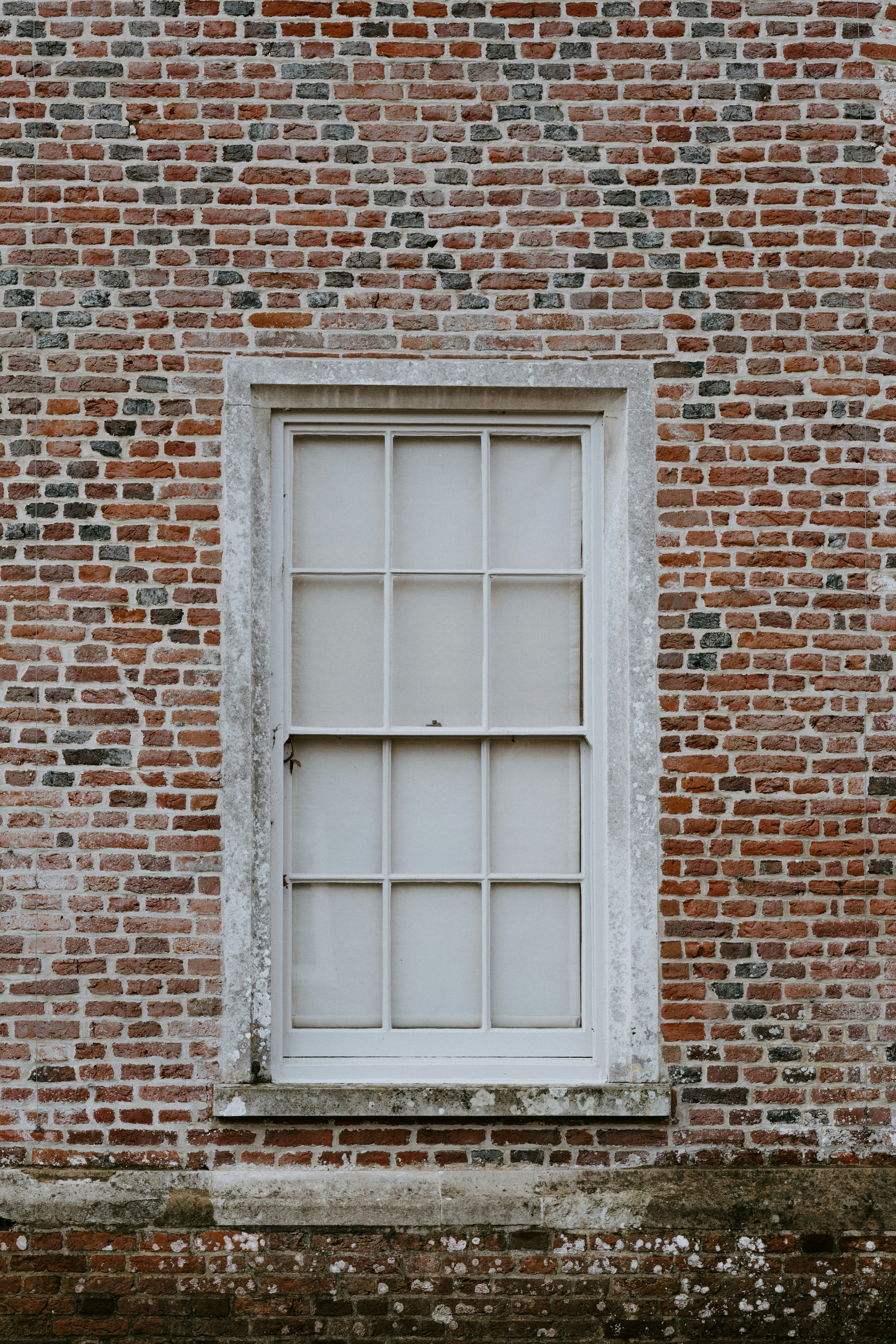 annie-spratt-ZGcIDWy6RNk-unsplash